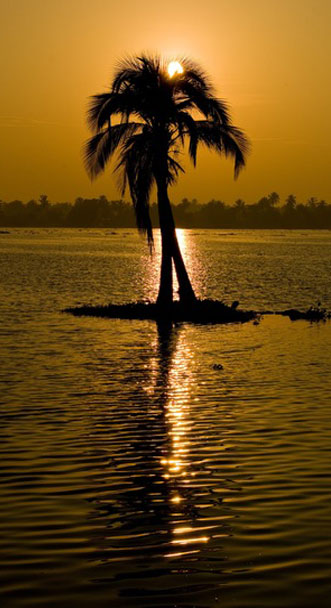 Kerala backwaters